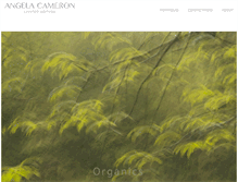 Tablet Screenshot of angelacameron.com